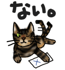 Sticker of a cat with a name as v sticker #12253276