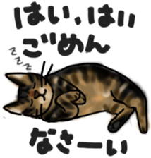 Sticker of a cat with a name as v sticker #12253277