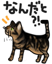 Sticker of a cat with a name as v sticker #12253280