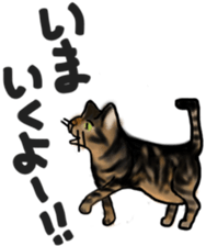 Sticker of a cat with a name as v sticker #12253283