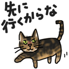 Sticker of a cat with a name as v sticker #12253284