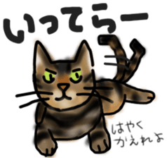 Sticker of a cat with a name as v sticker #12253285