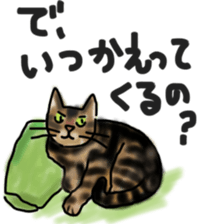 Sticker of a cat with a name as v sticker #12253286