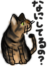 Sticker of a cat with a name as v sticker #12253287