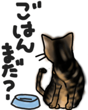 Sticker of a cat with a name as v sticker #12253290