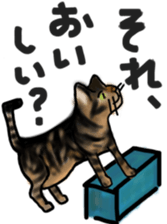 Sticker of a cat with a name as v sticker #12253291