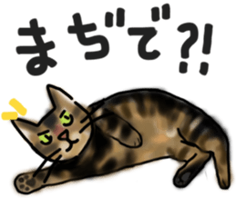 Sticker of a cat with a name as v sticker #12253292