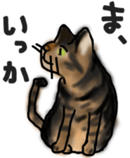 Sticker of a cat with a name as v sticker #12253295