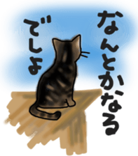 Sticker of a cat with a name as v sticker #12253296