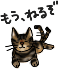 Sticker of a cat with a name as v sticker #12253299