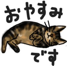 Sticker of a cat with a name as v sticker #12253300