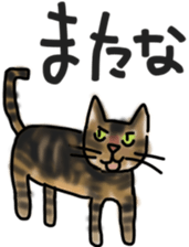 Sticker of a cat with a name as v sticker #12253301