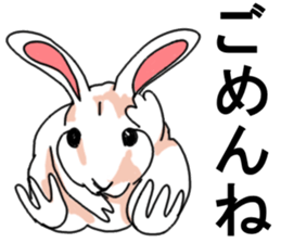 Three colors of rabbit sticker #12253347
