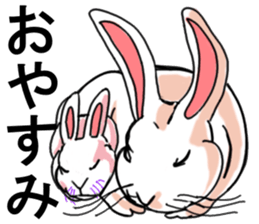 Three colors of rabbit sticker #12253349