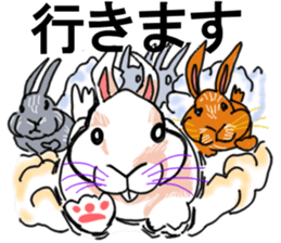 Three colors of rabbit sticker #12253352