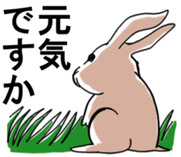 Three colors of rabbit sticker #12253358
