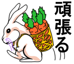 Three colors of rabbit sticker #12253365