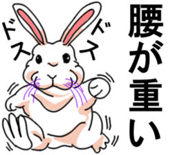 Three colors of rabbit sticker #12253366