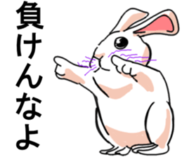 Three colors of rabbit sticker #12253367