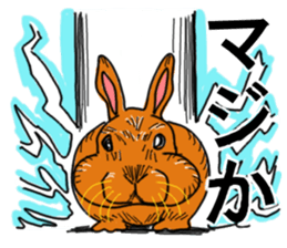 Three colors of rabbit sticker #12253374