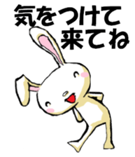 USAUSABUNNY7(Drop off and pick up) sticker #12253677