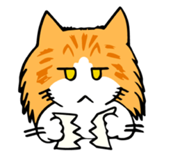 Cats!communication! sticker #12256770