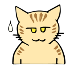 Cats!communication! sticker #12256773