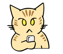 Cats!communication! sticker #12256778