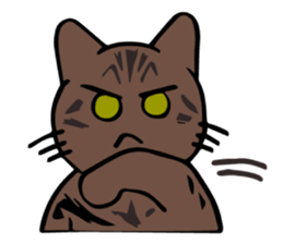 Cats!communication! sticker #12256779