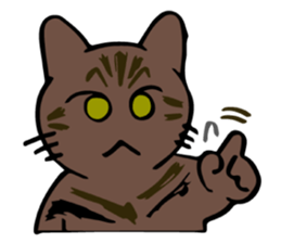 Cats!communication! sticker #12256784