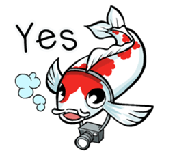 Discovery Koi sticker #12257504