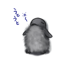 Daily life of penguins sticker #12258734