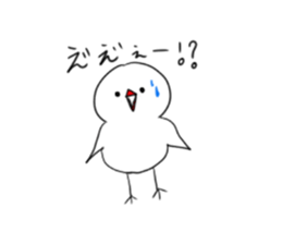 Hina bird of Java sparrow Pachi bird sticker #12260408