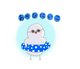 Hina bird of Java sparrow Pachi bird sticker #12260416