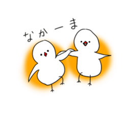 Hina bird of Java sparrow Pachi bird sticker #12260417