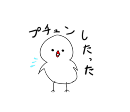 Hina bird of Java sparrow Pachi bird sticker #12260421