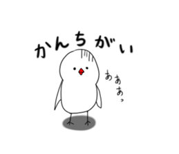 Hina bird of Java sparrow Pachi bird sticker #12260422