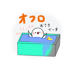 Hina bird of Java sparrow Pachi bird sticker #12260427