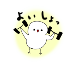 Hina bird of Java sparrow Pachi bird sticker #12260429