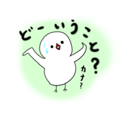 Hina bird of Java sparrow Pachi bird sticker #12260430