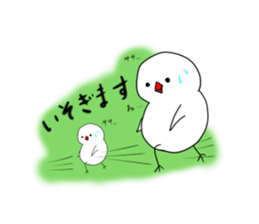 Hina bird of Java sparrow Pachi bird sticker #12260432
