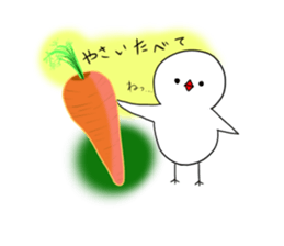 Hina bird of Java sparrow Pachi bird sticker #12260433