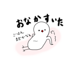 Hina bird of Java sparrow Pachi bird sticker #12260434