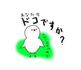 Hina bird of Java sparrow Pachi bird sticker #12260438