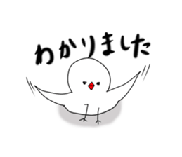 Hina bird of Java sparrow Pachi bird sticker #12260439