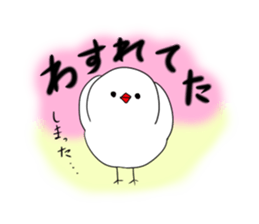Hina bird of Java sparrow Pachi bird sticker #12260445