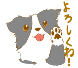 Border Collie Family (Japanese) sticker #12263894