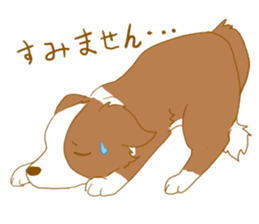 Border Collie Family (Japanese) sticker #12263900