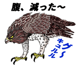 Martial eagle sticker #12264215