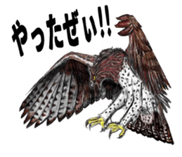 Martial eagle sticker #12264217